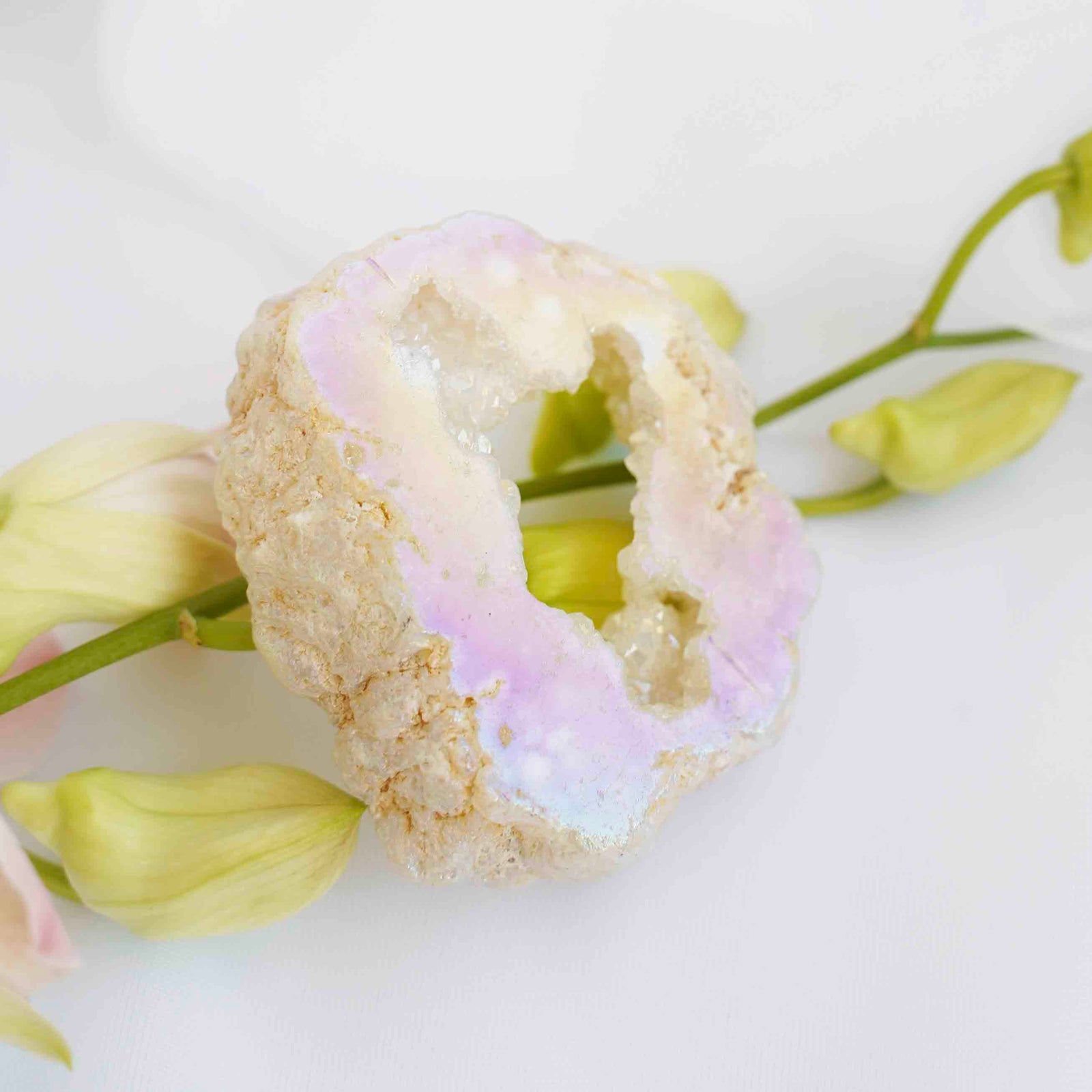 Angel Aura Quartz Geode Slice - Dream Den Crystals