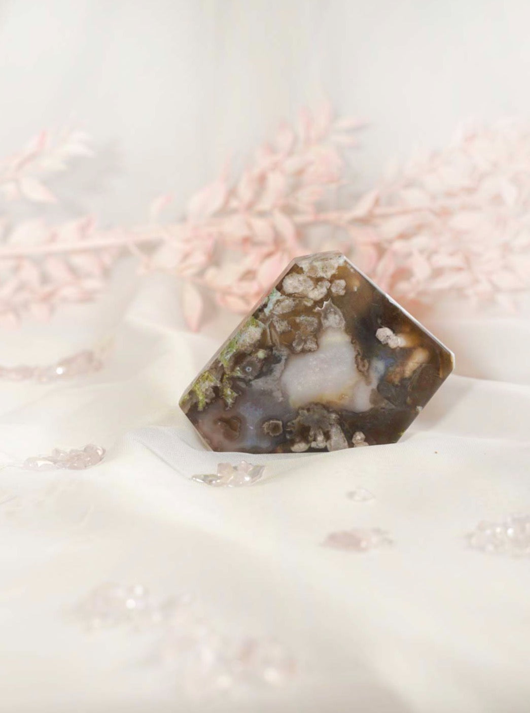 Black Flower Agate Slab - Dream Den Crystals