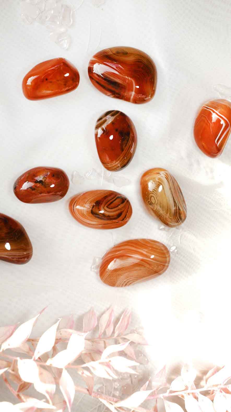 Sardonyx Tumble - Dream Den Crystals