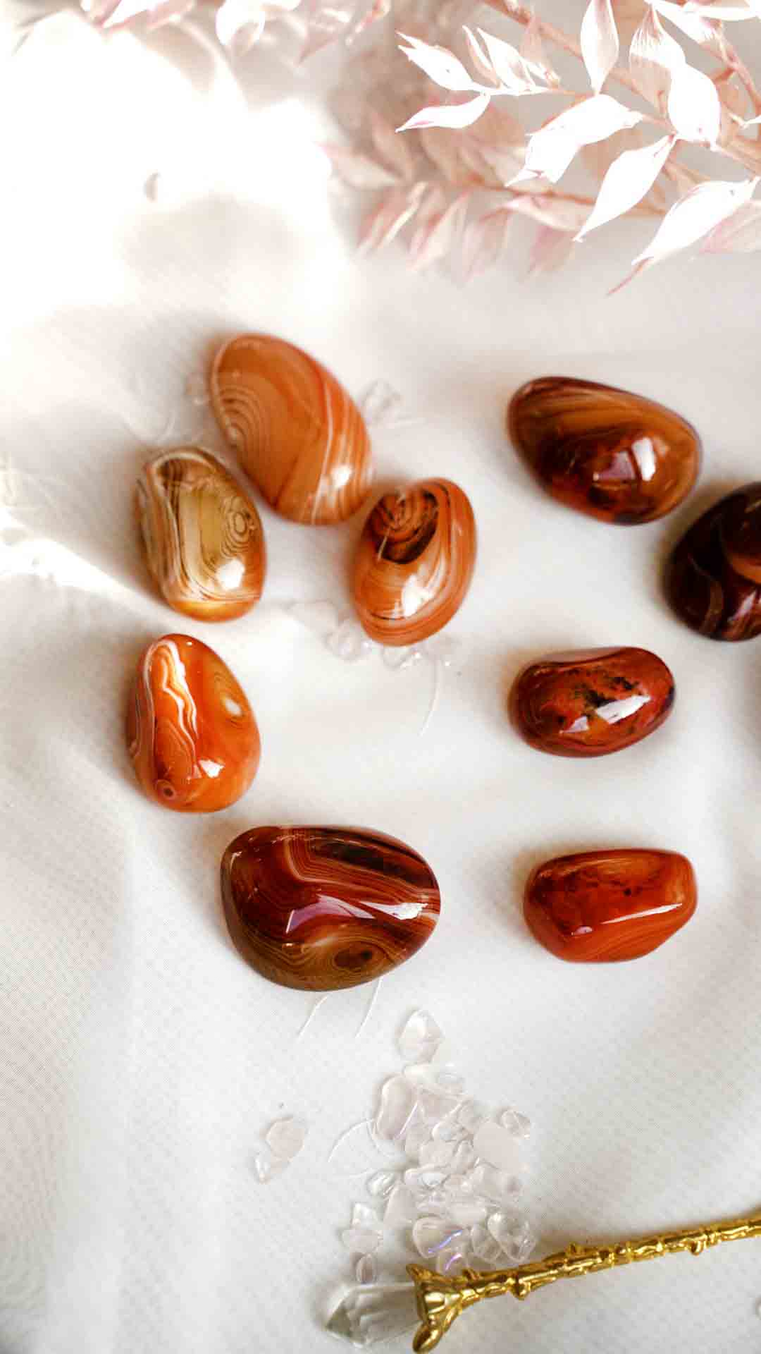 Sardonyx Tumble - Dream Den Crystals