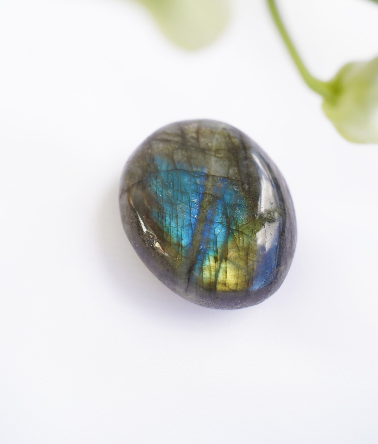Labradorite Palm - Dream Den Crystals