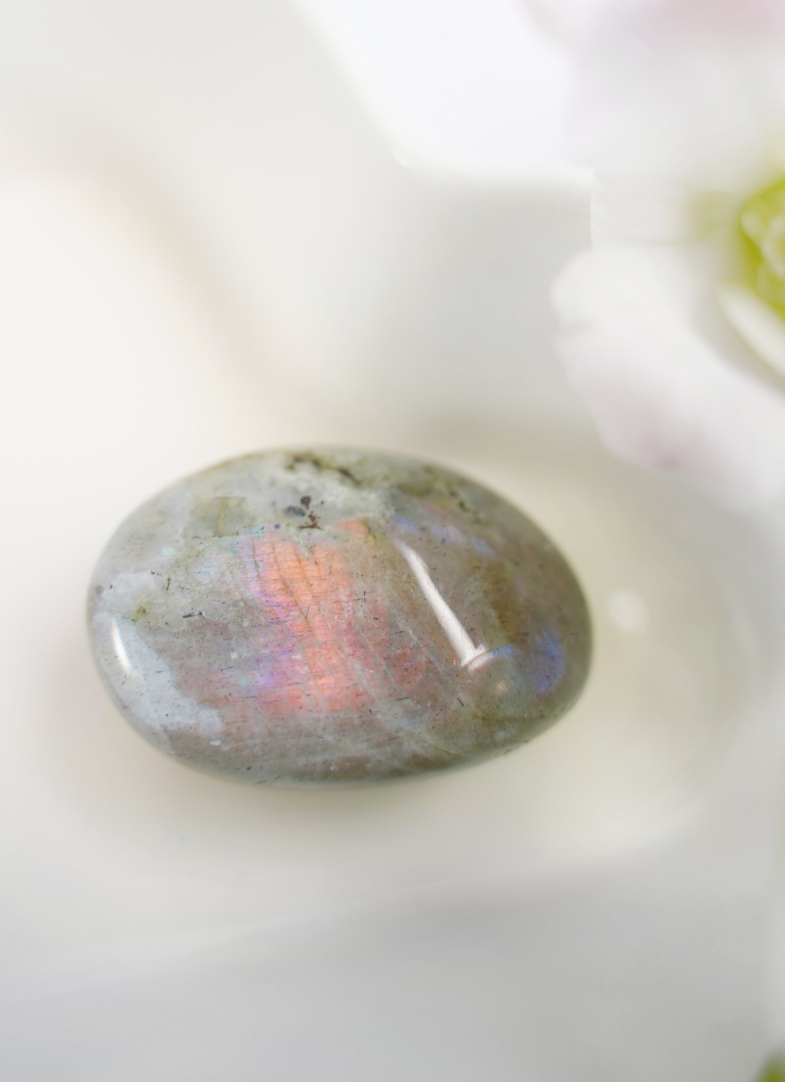 Labradorite Palm - Dream Den Crystals