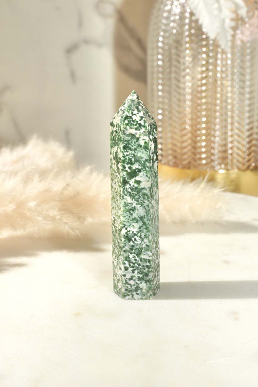 Green Spot Jasper - Dream Den Crystals