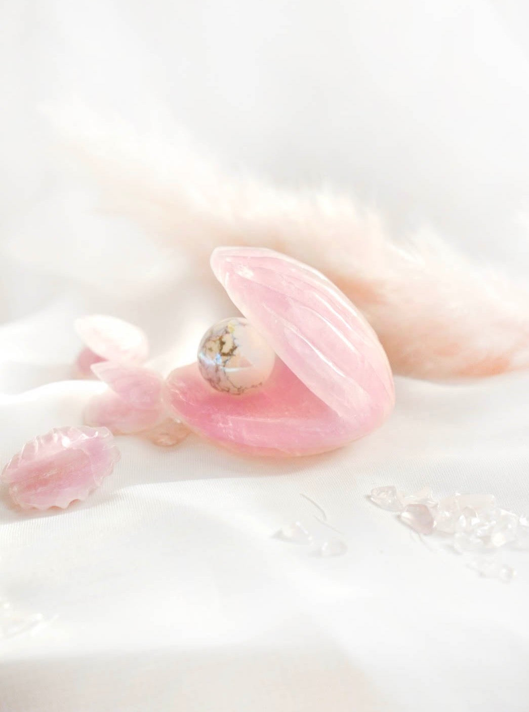 Rose Quartz Clam Shell - Dream Den Crystals