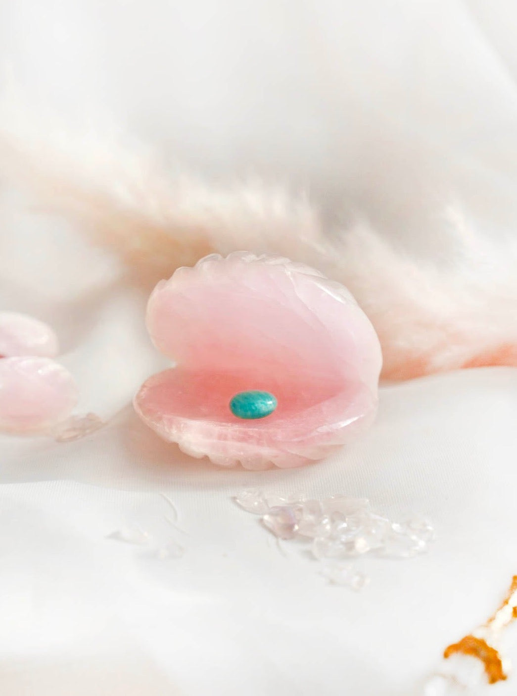 Rose Quartz Clam Shell - Dream Den Crystals