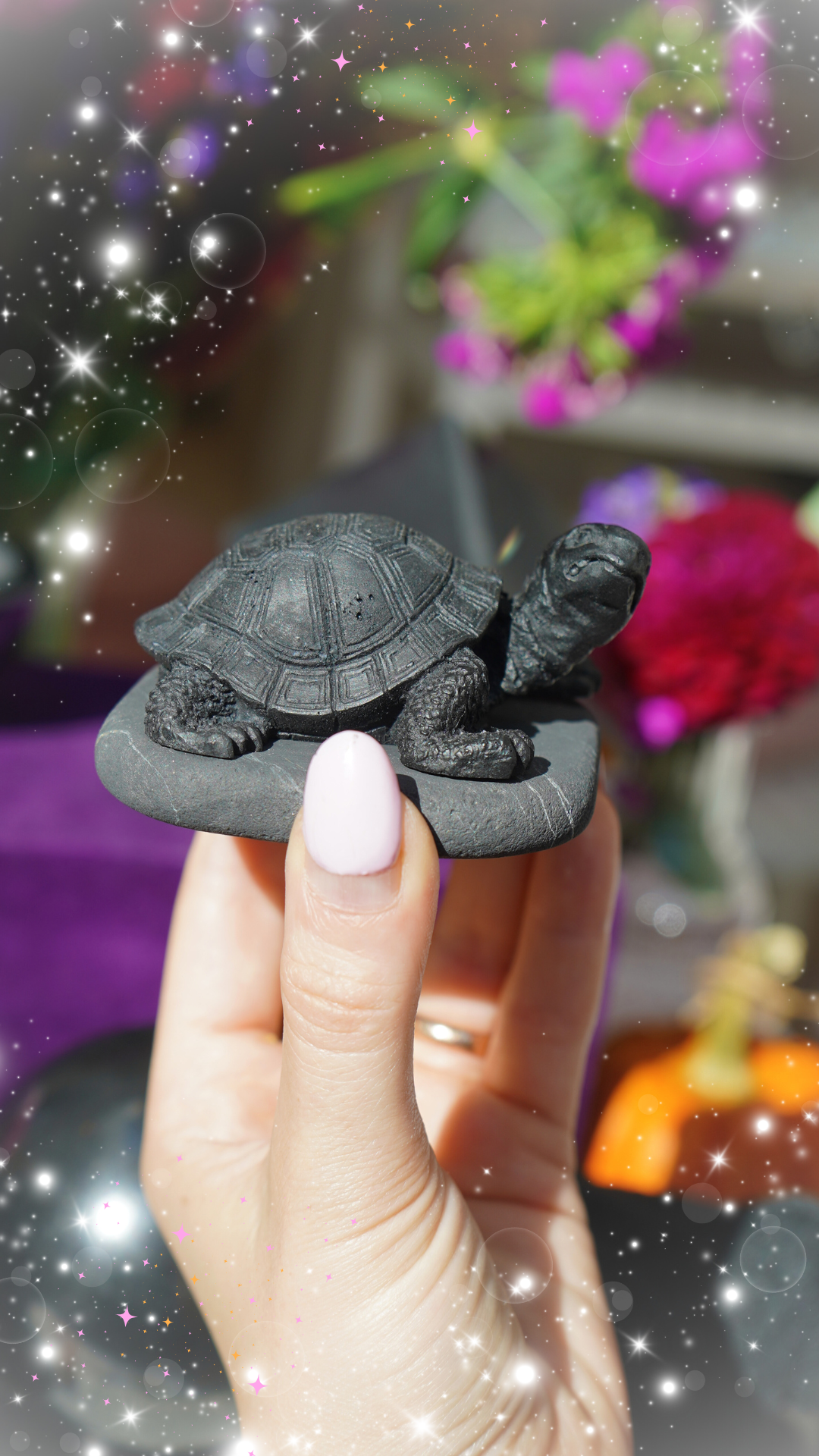 Shungite Turtle - Symbol of Calm, Balance &amp; EMF Protection