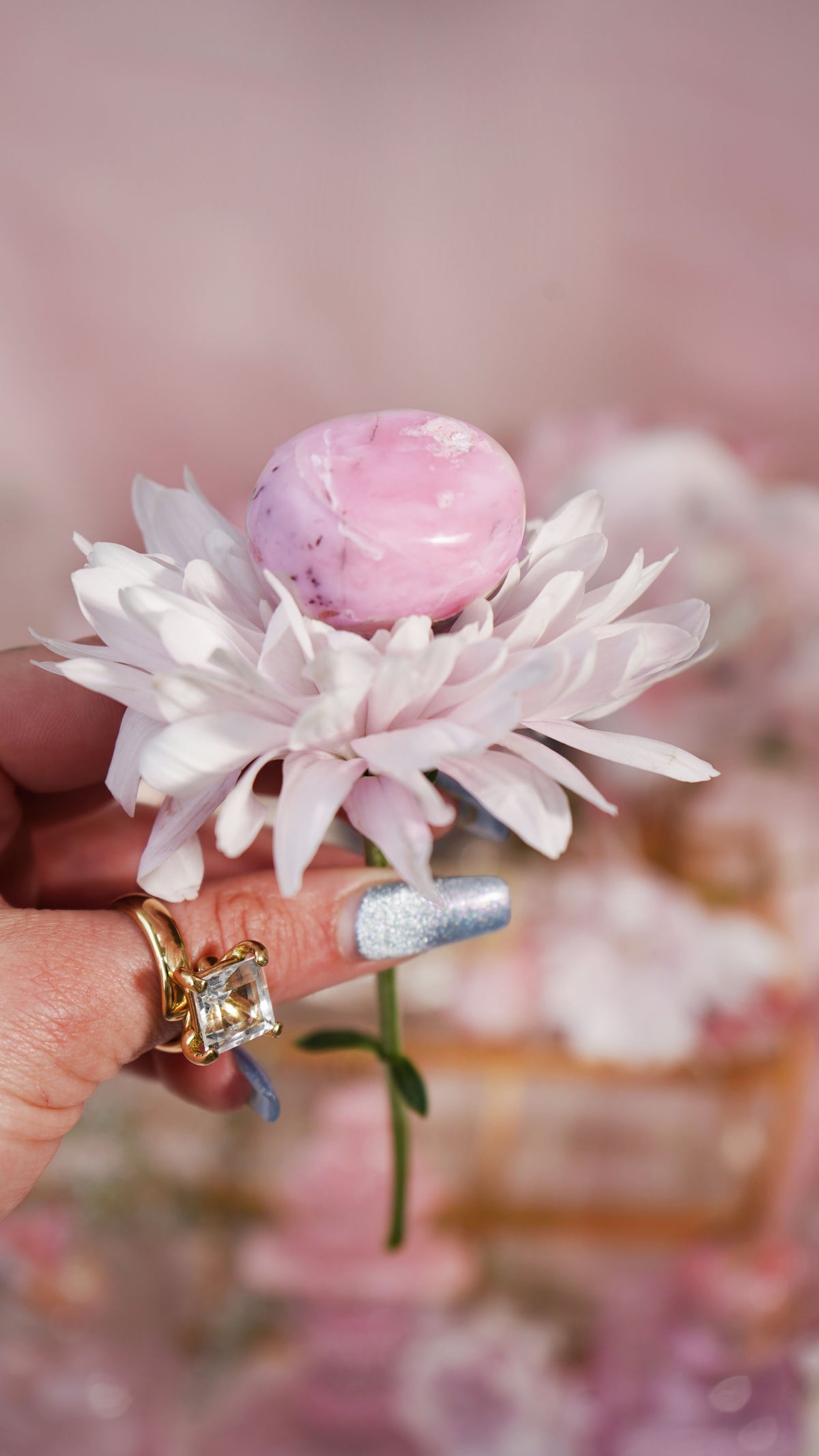 Pink Opal Palm