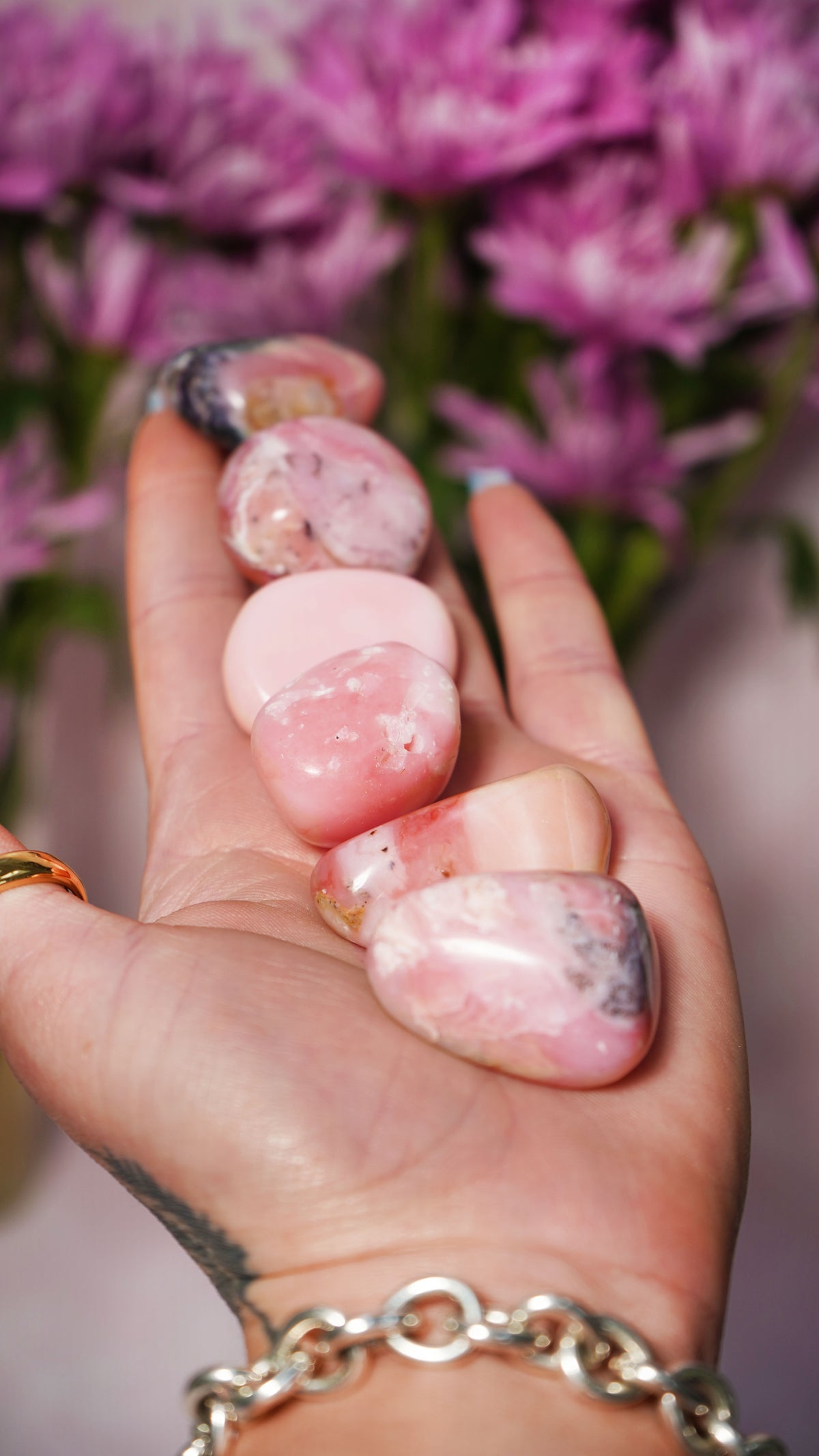 Pink Opal Palm