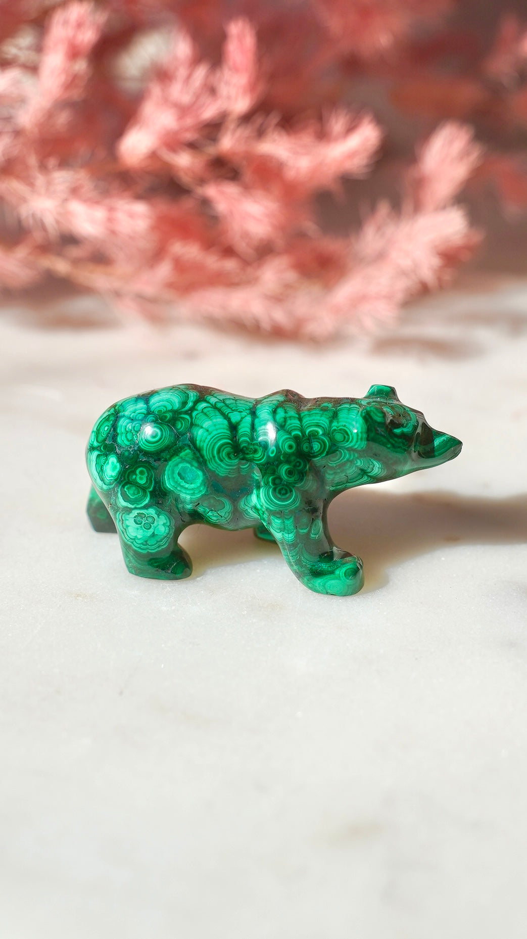 Malachite Animal Sculpture - Dream Den Crystals