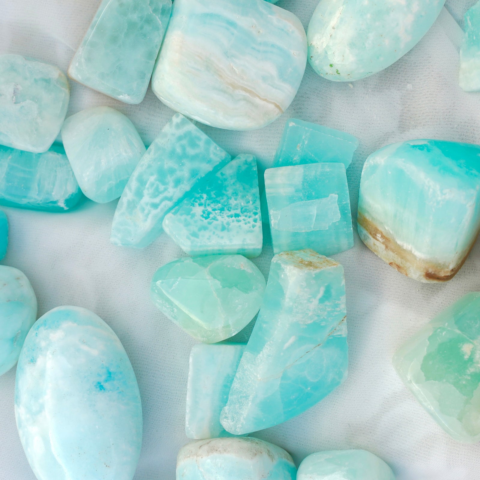 Caribbean Calcite Mini Palm - Dream Den Crystals