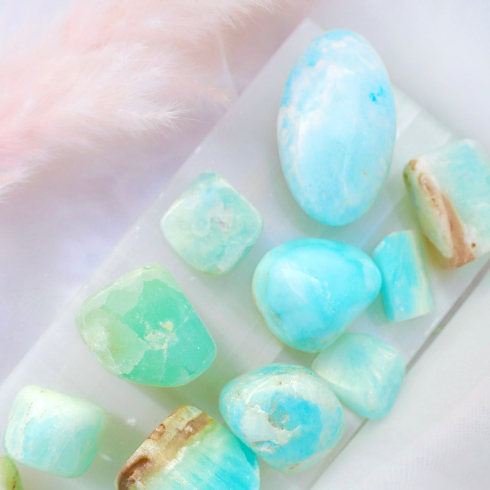 Caribbean Calcite Mini Palm - Dream Den Crystals